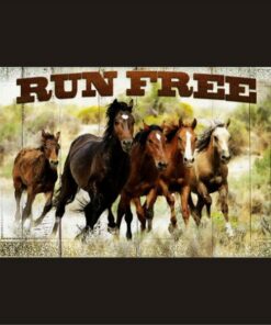 Run Free